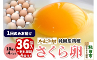 たまごの樹 純国産鶏種 卵『さくら』36個+割れ保証4個付き（10個入×4パック） [たまご タマゴ 玉子 鶏卵 まとめ買い オムレツ 卵かけご飯 朝食 料理 美味しい 瀧田養鶏場]