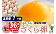 《定期便7ヶ月》 たまごの樹 純国産鶏種 卵『さくら』36個+割れ保証4個付き（10個入×4パック） [たまご タマゴ 玉子 鶏卵 まとめ買い オムレツ 卵かけご飯 朝食 料理 美味しい 瀧田養鶏場]
