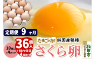 《定期便9ヶ月》 たまごの樹 純国産鶏種 卵『さくら』36個+割れ保証4個付き（10個入×4パック） [たまご タマゴ 玉子 鶏卵 まとめ買い オムレツ 卵かけご飯 朝食 料理 美味しい 瀧田養鶏場]