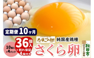 《定期便10ヶ月》 たまごの樹 純国産鶏種 卵『さくら』36個+割れ保証4個付き（10個入×4パック） [たまご タマゴ 玉子 鶏卵 まとめ買い オムレツ 卵かけご飯 朝食 料理 美味しい 瀧田養鶏場]