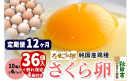 《定期便12ヶ月》 たまごの樹 純国産鶏種 卵『さくら』36個+割れ保証4個付き（10個入×4パック） [たまご タマゴ 玉子 鶏卵 まとめ買い オムレツ 卵かけご飯 朝食 料理 美味しい 瀧田養鶏場]