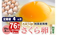《定期便4ヶ月》 たまごの樹 純国産鶏種 卵『さくら』76個+割れ保証4個付き（10個入×8パック） [たまご タマゴ 玉子 鶏卵 まとめ買い オムレツ 卵かけご飯 朝食 料理 美味しい 瀧田養鶏場]