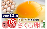 《定期便12ヶ月》 たまごの樹 純国産鶏種 卵『さくら』76個+割れ保証4個付き（10個入×8パック） [たまご タマゴ 玉子 鶏卵 まとめ買い オムレツ 卵かけご飯 朝食 料理 美味しい 瀧田養鶏場]