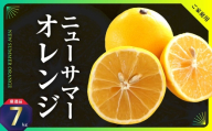 ニューサマーオレンジ　約7kg(ご家庭用)＜C31-26＞_訳アリ わけあり ワケアリミカン みかん 日向夏 小夏 フルーツ 果物 くだもの 家庭用 人気 柑橘 かんきつ 不揃い 規格外 傷 愛媛 旬 産地直送 産直 季節限定 【1103591】 YWTAC016