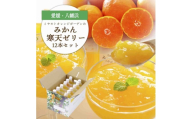 ゲル化剤・pH調整剤不使用!愛媛産 みかん寒天ゼリー 12本セット＜D25-220＞【1628720】 YWTAP161