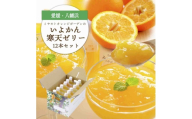 ゲル化剤・pH調整剤不使用!愛媛産 いよかん寒天ゼリー 12本セット＜D25-222＞【1628734】 YWTAP163