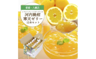 ゲル化剤・pH調整剤不使用!愛媛産 河内晩柑寒天ゼリー 12本セット＜D25-223＞【1628741】 YWTAP164