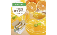 ゲル化剤・pH調整剤不使用!愛媛産 不知火寒天ゼリー 12本セット＜D25-224＞【1628746】 YWTAP165