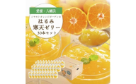 ゲル化剤・pH調整剤不使用!愛媛産 はるみ寒天ゼリー 30本セット＜H25-233＞【1629990】 YWTAP174
