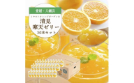 ゲル化剤・pH調整剤不使用!愛媛産 清見寒天ゼリー 30本セット＜H25-234＞【1629999】 YWTAP175