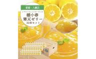 ゲル化剤・pH調整剤不使用!愛媛産 媛小春寒天ゼリー 30本セット＜H25-238＞【1630020】 YWTAP179