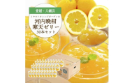 ゲル化剤・pH調整剤不使用!愛媛産 河内晩柑寒天ゼリー 30本セット＜H25-239＞【1630027】 YWTAP180