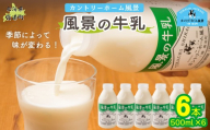 風景の牛乳 500ml ×6 【 ふるさと納税 人気 おすすめ ランキング 牛乳 牧場 低温殺菌 ノンホモ 定期便 カントリーホーム風景 北海道 十勝 鹿追町 送料無料 】 SKB075