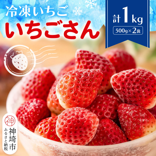 冷凍いちご(いちごさん)1kg(500g×2)【佐賀県 いちごさん 冷凍いちご 新鮮 果実 加工 甘さ 香り デザート スムージー ソース】(H116229) 2576120 - 佐賀県神埼市