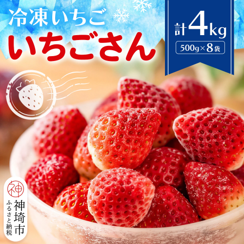 冷凍いちご(いちごさん)4kg(500g×8)【佐賀県 いちごさん 冷凍いちご 新鮮 果実 加工 甘さ 香り デザート スムージー ソース】(H116232) 2576123 - 佐賀県神埼市