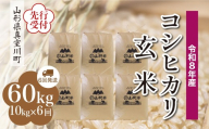 ＜令和8年産米先行受付＞ 真室川町産 こしひかり 【玄米】 60kg定期便 （10kg×6回発送）＜配送時期指定可＞