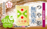 ＜令和8年産米先行受付＞ 真室川町産 特別栽培米 つや姫 【無洗米】 定期便 30kg （5kg×1ヶ月間隔で6回お届け）＜配送時期指定可＞