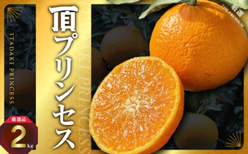 ＜紅プリンセス同品種＞愛媛県産 新品種柑橘 愛果48号＜甘平×まどんな＞2kg＜D31-56＞_みかん 蜜柑 ミカン 頂プリンセス 愛媛 柑橘 かんきつ 果物 くだもの フルーツ 青果 デザート 甘い おいしい 産直 産地直送 愛媛県 国産 送料無料【1660048】 YWTAC045 2576274 - 愛媛県八幡浜市