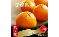 【先行受付】＜ジューシー果肉がいい香り♪＞＜訳あり＞伊予柑 10kg＜E83-13＞【1549103】 YWTW013