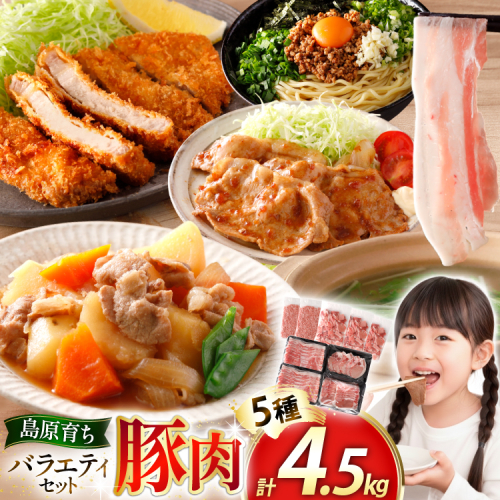 AJ666 島原育ちの豚肉セット 計4.5kg [ 豚肉 ぶた 豚ロース とんかつ用 豚バラ しゃぶしゃぶ 薄切り 豚小間 こま切れ 豚ミンチ セット 小分け バラエティ スターゼン株式会社 長崎県 島原市] 2576283 - 長崎県島原市