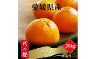 【先行受付】＜ジューシー果肉がいい香り♪＞＜訳あり＞伊予柑 20kg＜H83-21＞【1557482】 YWTW021