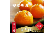 【先行受付】＜ジューシー果肉がいい香り♪＞＜訳あり＞伊予柑 5kg＜C83-47＞【1625114】 YWTW047