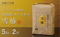 【令和7年産】魚沼産コシヒカリ 雪椿 10kg (5kg×2袋) 特別栽培米