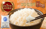 【スピード発送】 コシヒカリ 5kg 一等米 白米 令和7年産 米 お米 5kg 米5kg 【お米マイスター厳選】 千葉県産 こしひかり コシヒカリ 令和7年産 R7年産 2025年産 精米 千葉県 香取市 OYD007