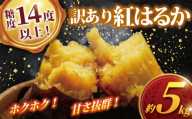 紅はるか 約5kg 訳あり 【糖度14度以上】 数量限定 【最短7営業日発送】 ～5月中旬発送 さつまいも べにはるか いも5kg SS～LLサイズ 芋 さつま芋 野菜 サツマイモ 甘い 焼き芋 焼きいも スイートポテト 千葉県 香取市 SDK001