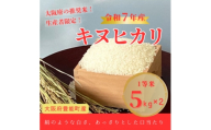 ＜令和7年産米＞大阪府豊能町産　キヌヒカリ　精米5kg×2　生産者限定米【1725348】
