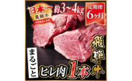 ＜毎月定期便＞飛騨牛 ヒレ1本(約3～4kg)＜シャトーブリアン&ヒレ＞冷蔵便 ステーキ全6回【4084144】
