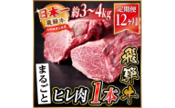 ＜毎月定期便＞飛騨牛 ヒレ1本(約3～4kg)＜シャトーブリアン&ヒレ＞A4～A5 ステーキ全12回【4084172】