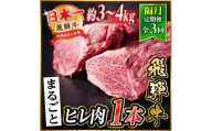＜2ヵ月毎定期便＞飛騨牛 ヒレ1本(約3～4kg)＜シャトーブリアン&ヒレ＞A4～A5黒毛和牛全3回【4084173】