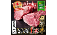 ＜2ヵ月毎定期便＞飛騨牛 ヒレ1本(約3～4kg)＜シャトーブリアン&ヒレ＞A4～A5黒毛和牛全6回【4084177】