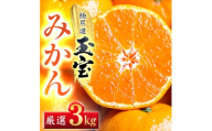 ＜愛媛名産＞玉宝みかん 3kg＜C64-26＞【1510734】 YWTY015