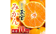 ＜愛媛名産＞玉宝みかん 10kg＜G64-27＞【1510741】 YWTY016
