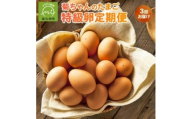 ＜発送月固定定期便＞菊ちゃんのたまご(特級卵)(7・8・9月コース)全3回【4084767】