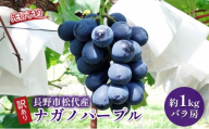 ぶどう  訳あり 長野市松代産 ナガノパープル 約1kg バラ房 果物 ブドウ 葡萄 フルーツ デザート おやつ 種なし TAKANO農園 信州