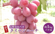 ぶどう  長野市松代産 訳ありクイーンニーナ 約1kg バラ房 葡萄 ブドウ 果物 フルーツ デザート おやつ TAKANO農園 信州 果物類 マスカット ギフト 手土産