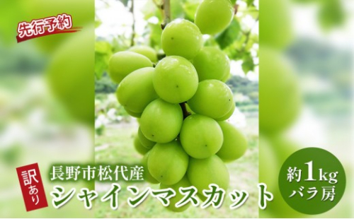 長野市松代産 訳ありシャインマスカット 約1kg（バラ房） 2576783 - 長野県長野市