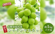 長野市松代産 訳ありシャインマスカット 約1kg（バラ房）