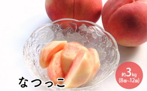 なつっこ約3kg（8個～12個） 2576785 - 長野県長野市