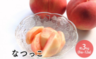 なつっこ約3kg（8個～12個）