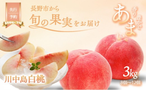 川中島白桃約3kg（8個～12個） 2576786 - 長野県長野市