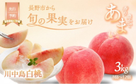 川中島白桃約3kg（8個～12個）