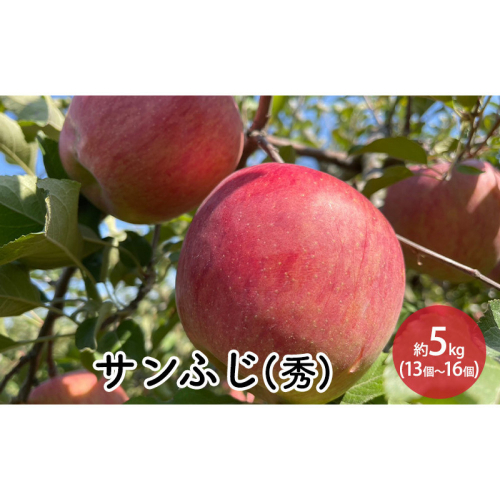 信州りんご・サンふじ（秀）約5kg（12個～16個） 2576787 - 長野県長野市