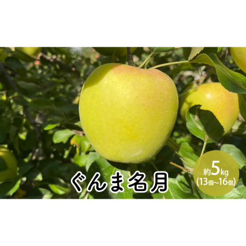 ぐんま名月約5kg（13個～16個） 2576788 - 長野県長野市