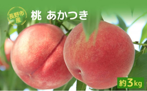 長野市産桃「あかつき」約3kg(8-10個） 2576793 - 長野県長野市
