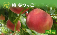 長野市産桃「なつっこ」約3kg(8～10個）