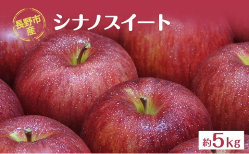長野市産「シナノスイート」約5kg (11～16玉） 2576800 - 長野県長野市